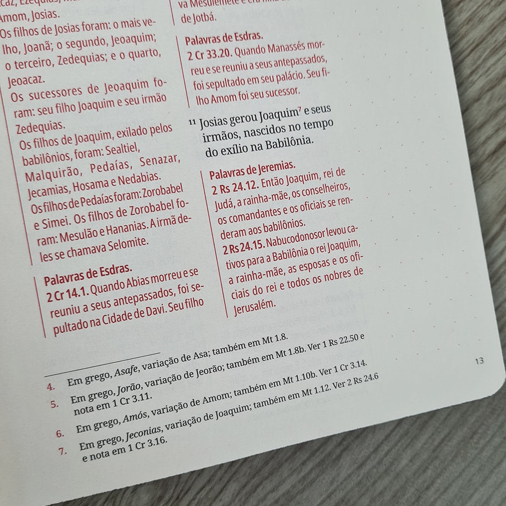 Kit Bíblia Contexto | Novo Testamento | NVT | Capa Dura | Quadro Antigo