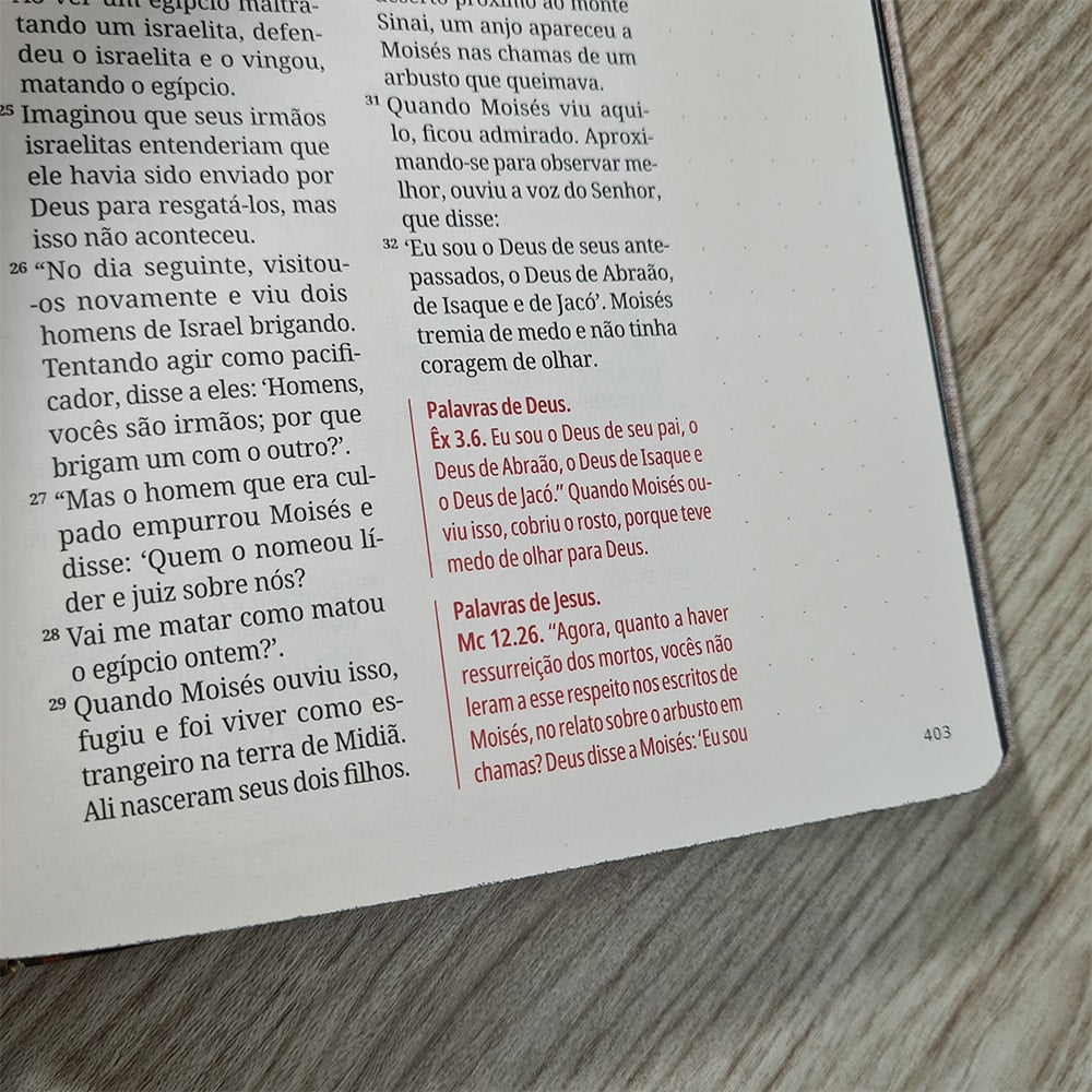 Kit Bíblia Contexto | Novo Testamento | NVT | Capa Dura | Quadro Antigo