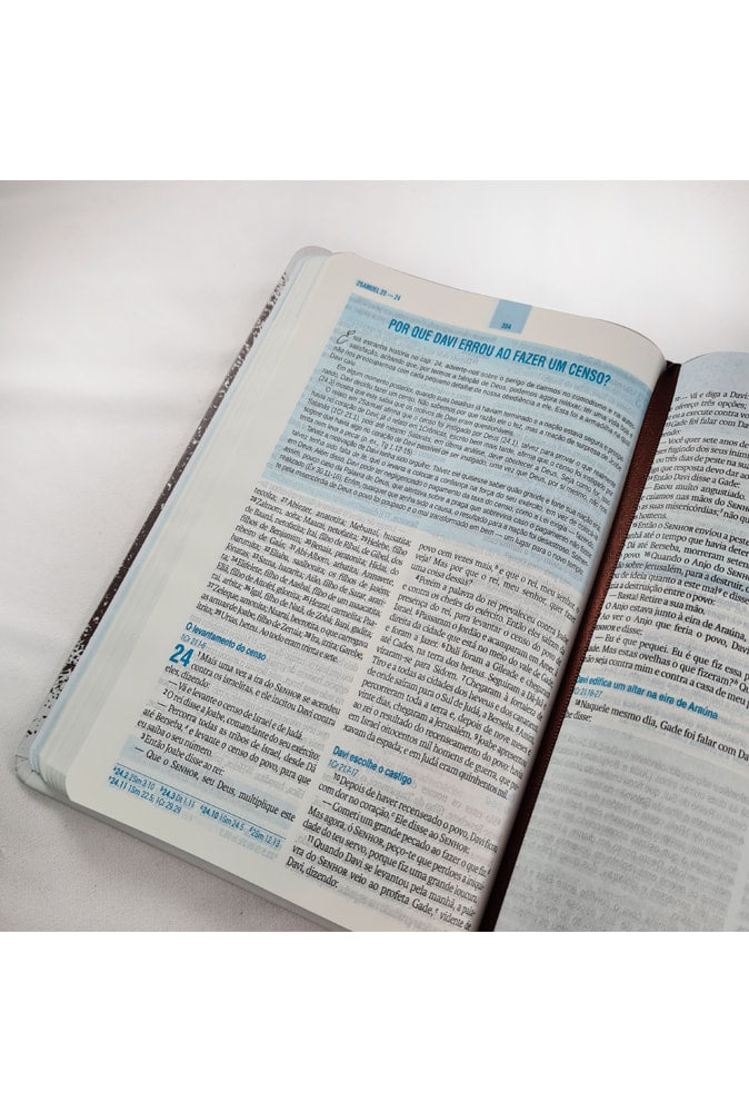 Bíblia Essencial | NAA | Letra Normal | Capa Dura Pegadas