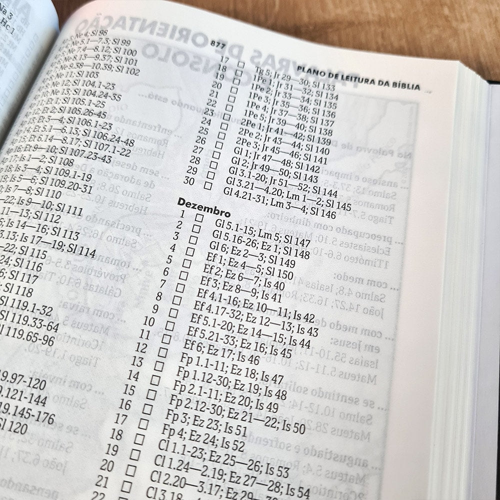 Bíblia e Hinário Novo Cântico | ARA | Capa Dura Rosa