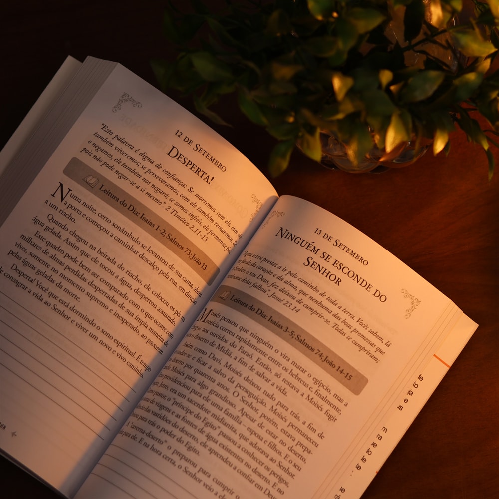 Devocional 365 Dias no Getsêmani | Jorge Linhares