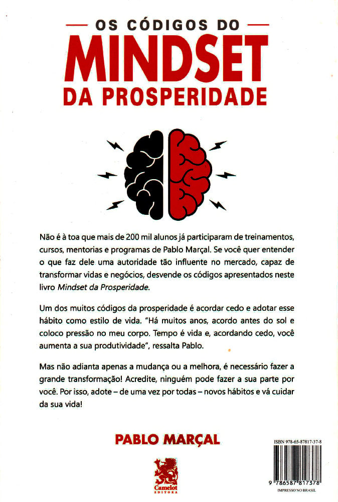 Os Códigos do Mindset da Prosperidade | Pablo Marcal
