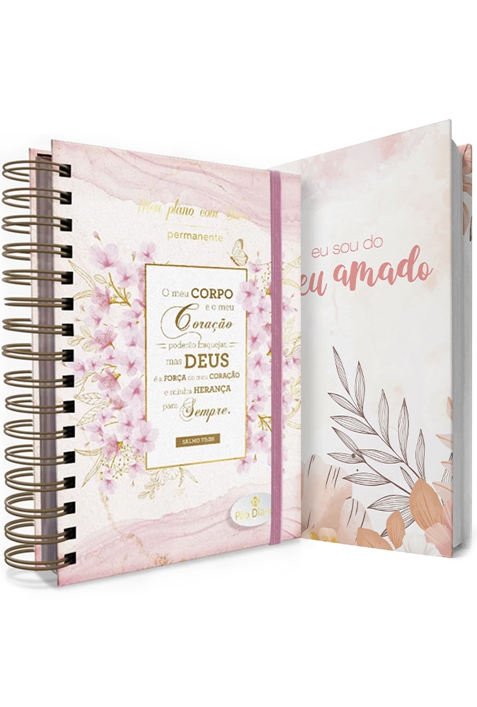 Kit Planner e Bíblia Feminina, capas rosa claro com flores e texto. — Plenitude