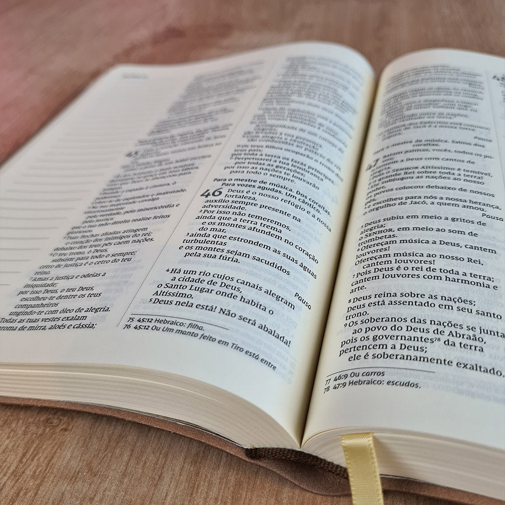 Bíblia Sagrada | NVI | Letra Normal | c/ Espaço para Anotações | Capa Couro Soft