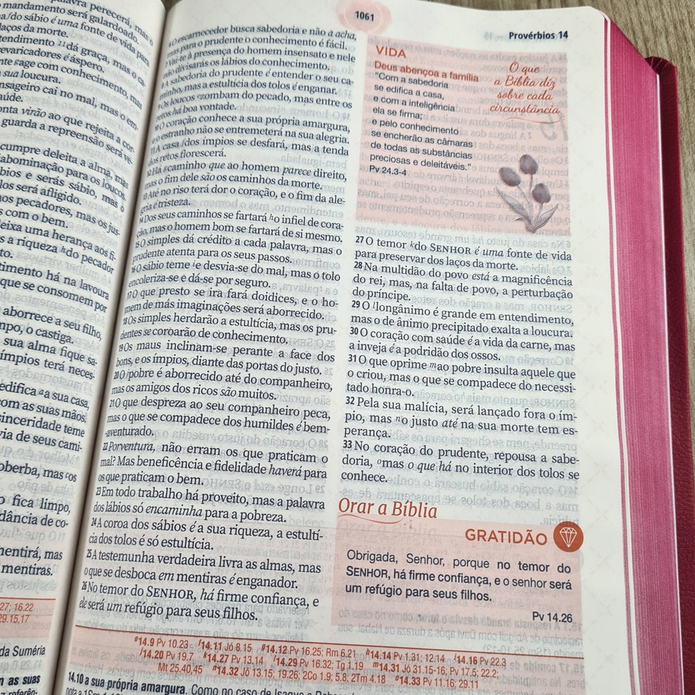 A Bíblia da Mulher | Letra Grande | ARC | Capa Luxo Rosa