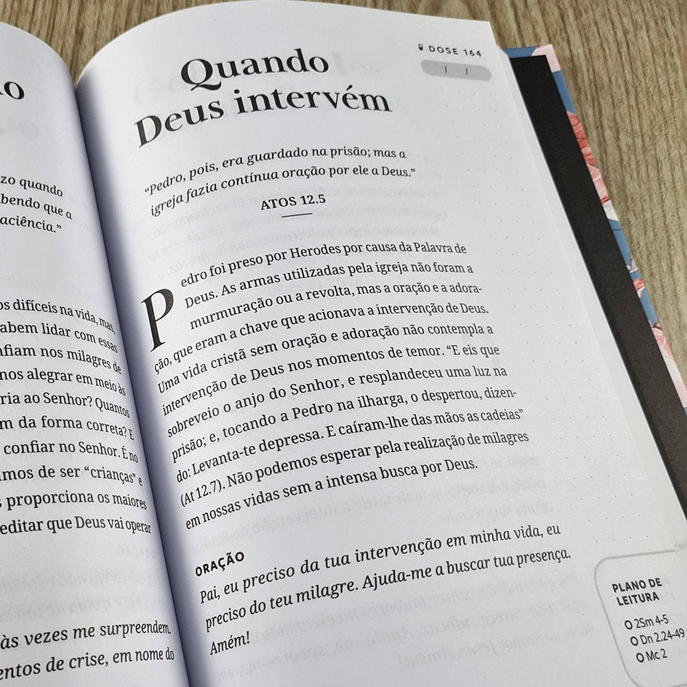 Devocional 365 Doses Bíblicas Diárias | Capa Dura Floral