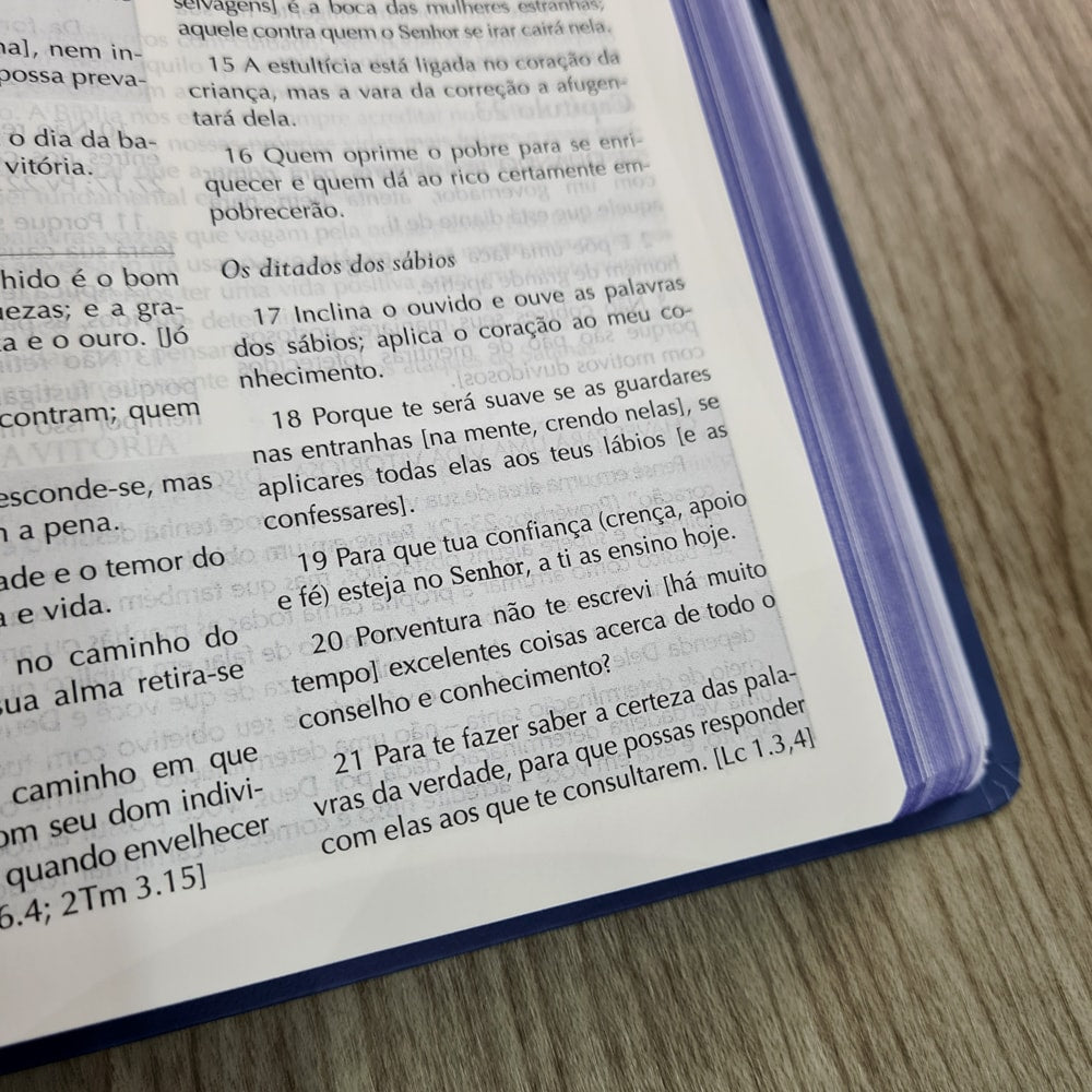 Bíblia Campo de Batalha da Mente | NVA | Letra Normal | Capa Luxo Azul