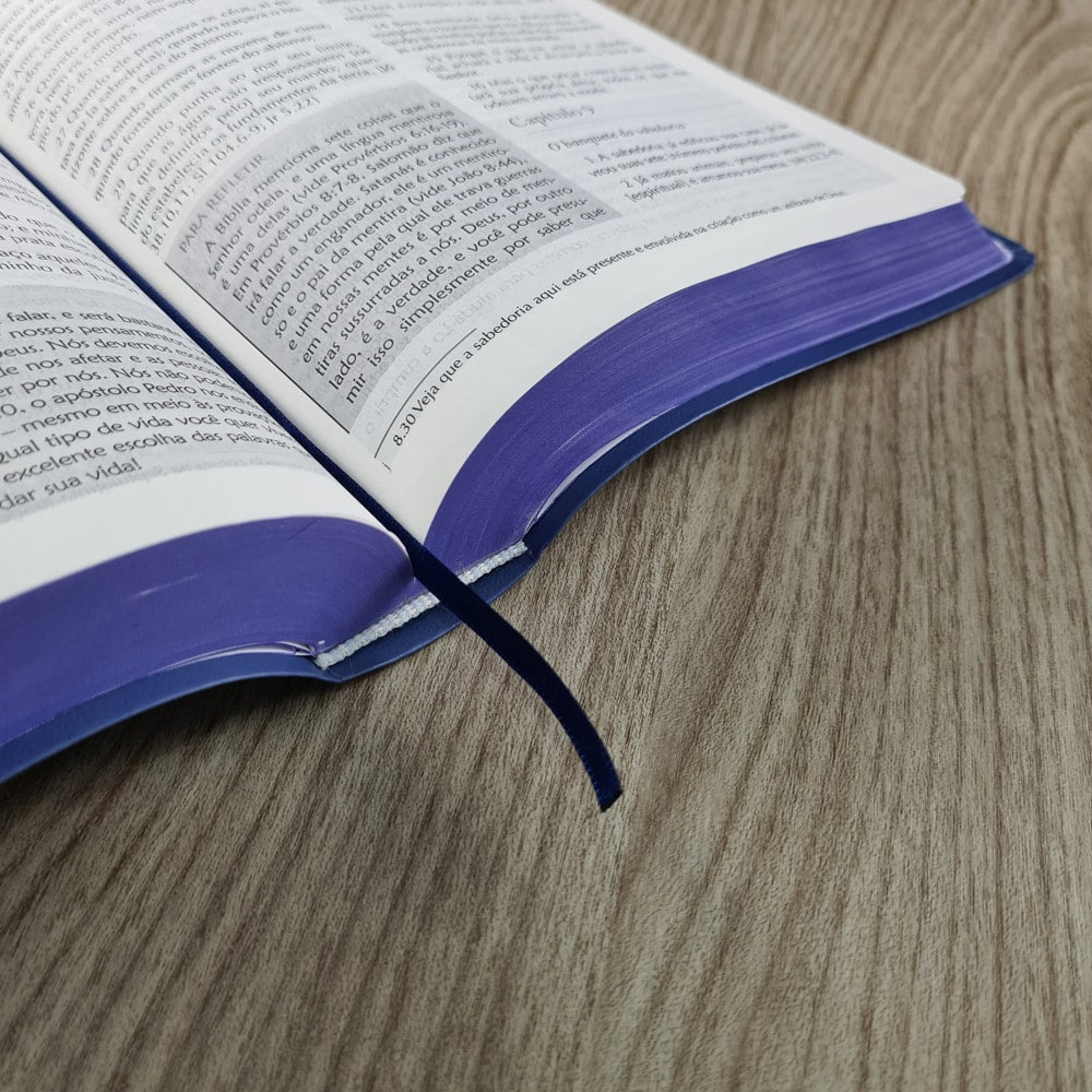 Bíblia Campo de Batalha da Mente | NVA | Letra Normal | Capa Luxo Azul