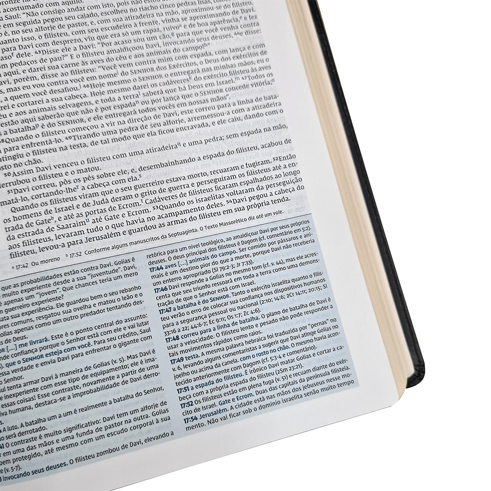 Bíblia De Estudo Thomas Nelson | NVI | Letra Normal |Capa Luxo Preto