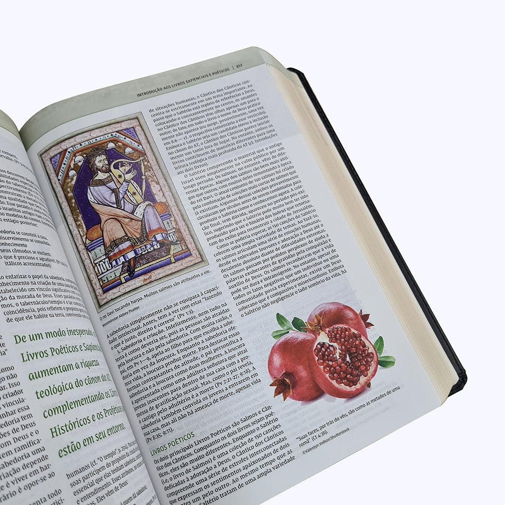 Bíblia De Estudo Thomas Nelson | NVI | Letra Normal |Capa Luxo Preto