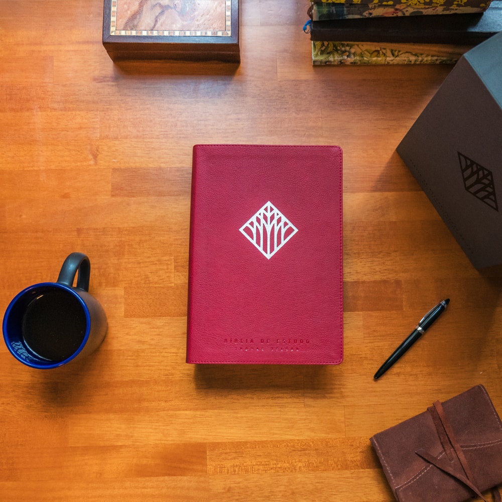 Bíblia De Estudo Thomas Nelson | NVI | Letra Normal |Capa Luxo Vinho