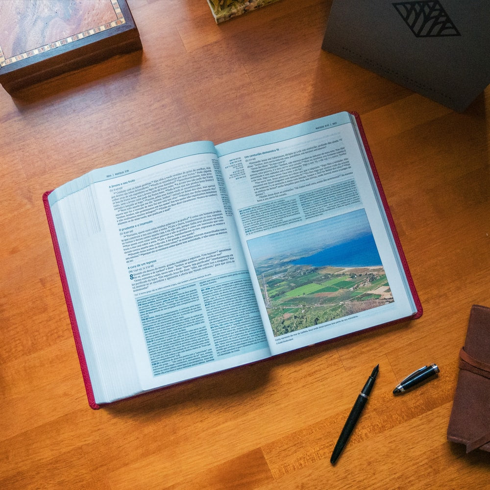Bíblia De Estudo Thomas Nelson | NVI | Letra Normal |Capa Luxo Vinho