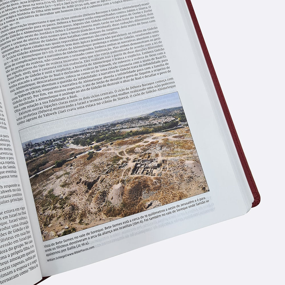 Bíblia De Estudo Thomas Nelson | NVI | Letra Normal |Capa Luxo Vinho