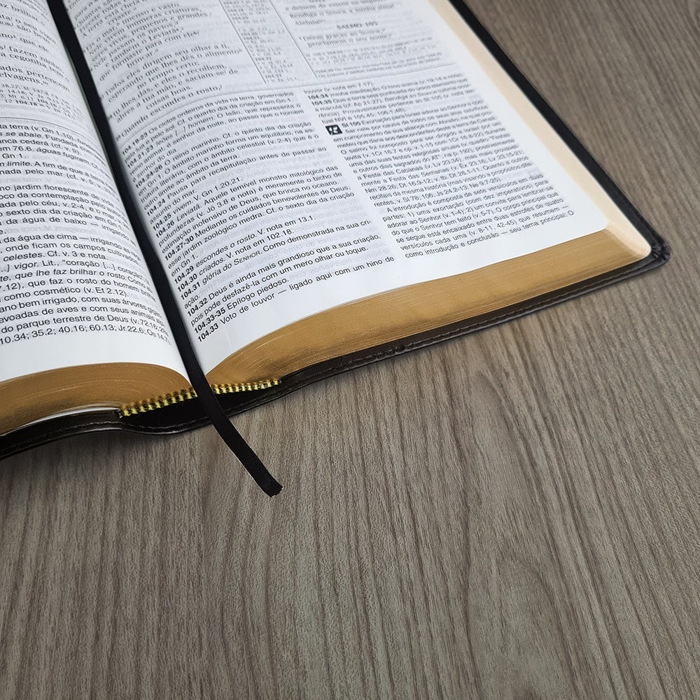 Bíblia de Estudo | NVI | Letra Normal | Capa Luxo Preta