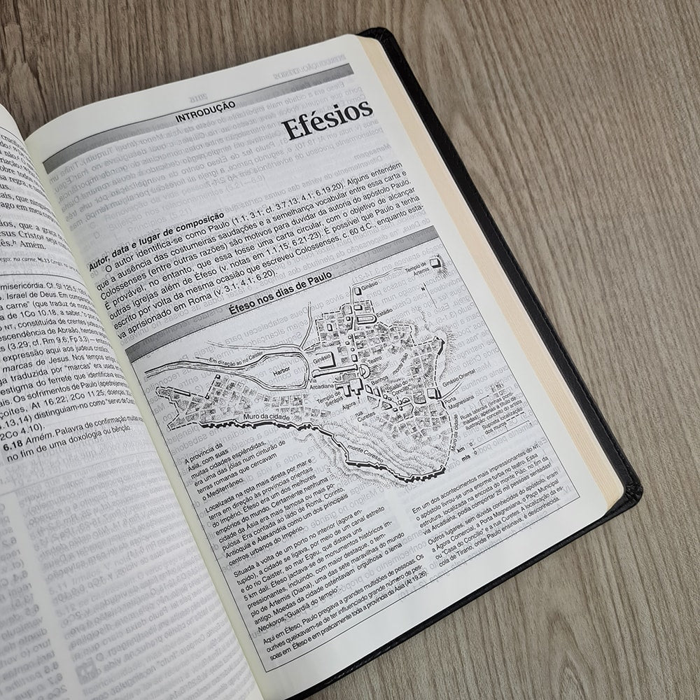 Bíblia de Estudo | NVI | Letra Normal | Capa Luxo Preta