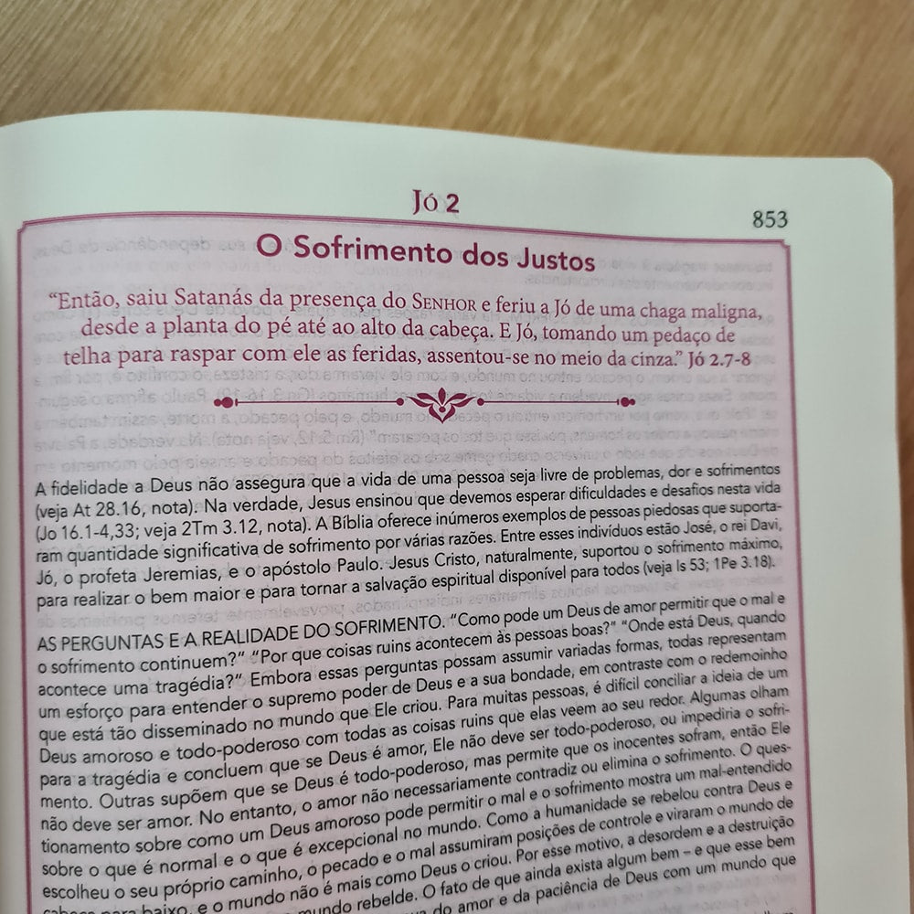 Bíblia de Estudo Pentecostal | Edição Global | ARC | Letra Grande | Capa Luxo Vinho