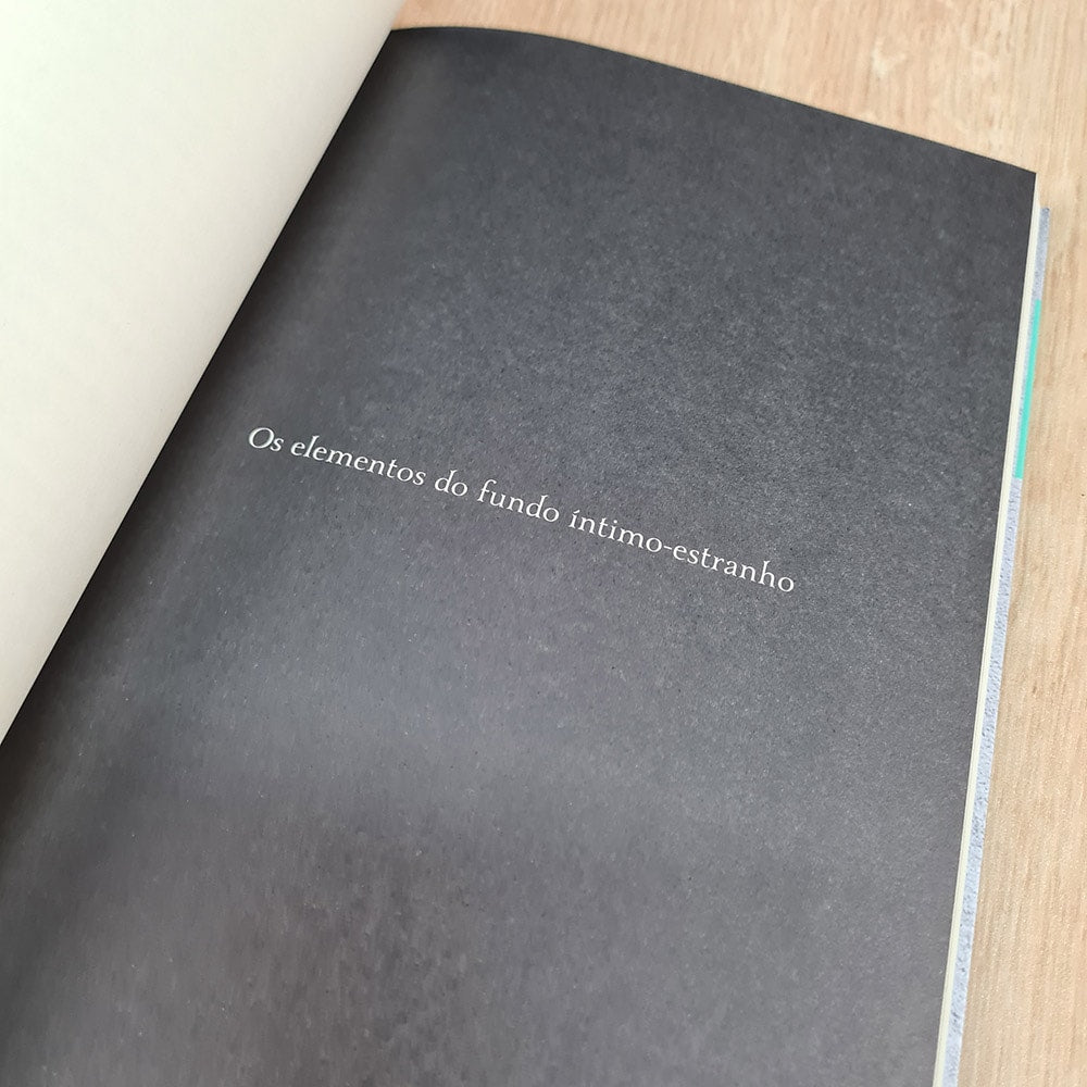 Do Limite | Gabriel Liiceanu