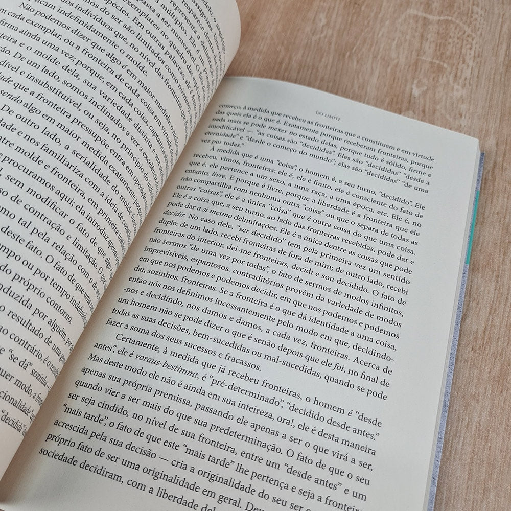 Do Limite | Gabriel Liiceanu