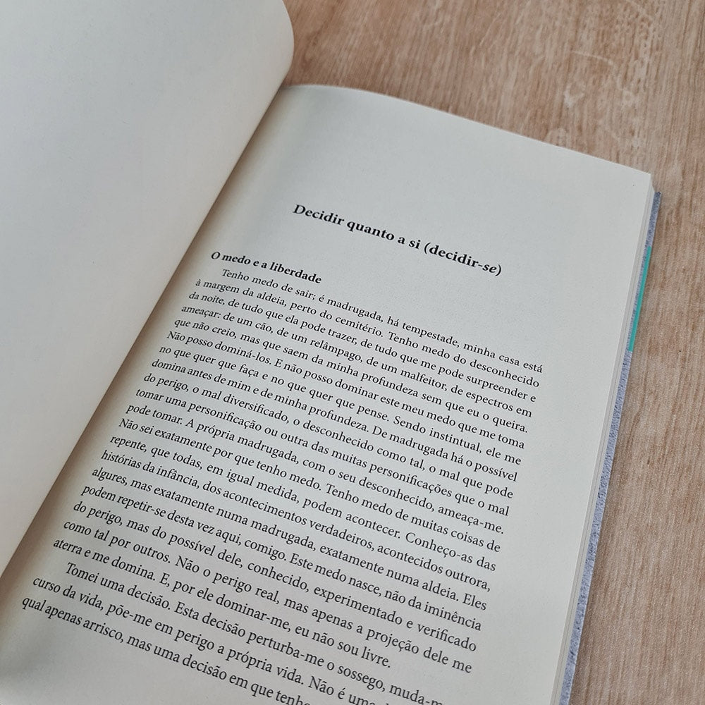 Do Limite | Gabriel Liiceanu