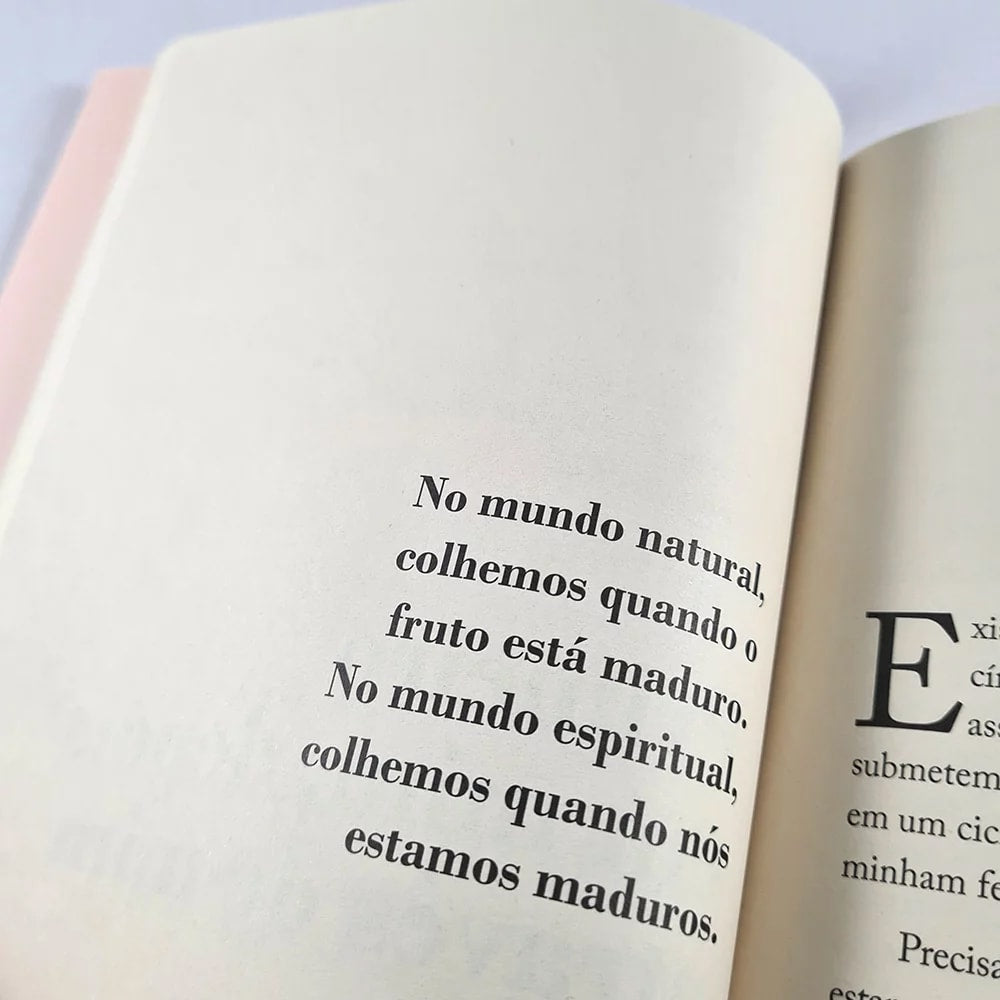 Kit Livros Telmo e Viviane Martinello
