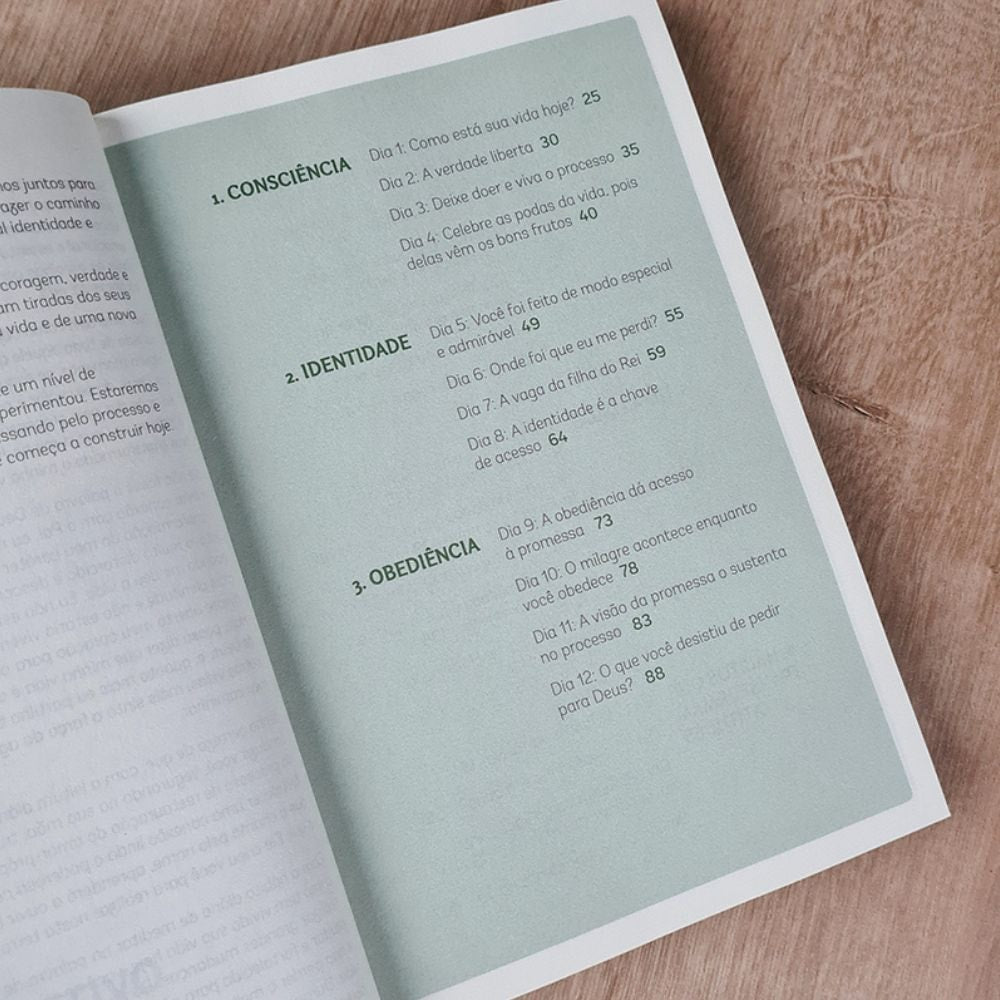 Plenitude | Camila Saraiva Vieira