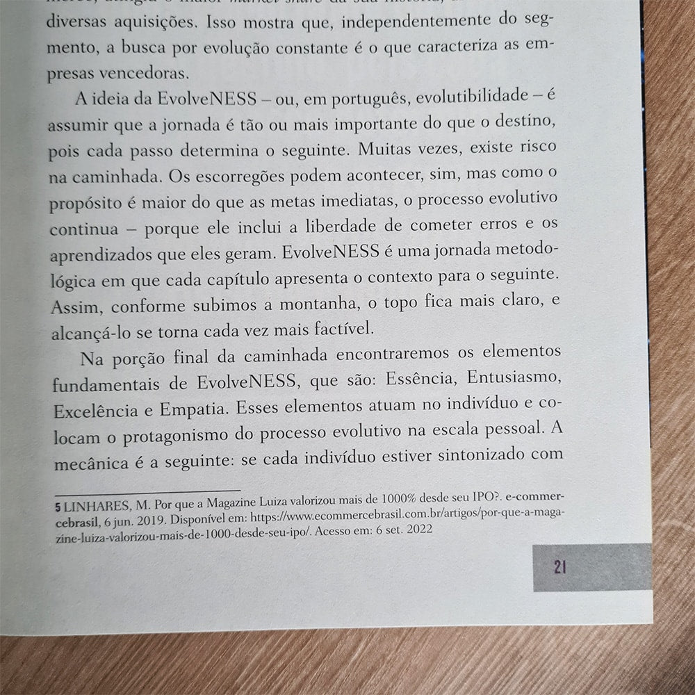 A Grande Estratégia de Evolução nos Negócios | Rodrigo Rocha