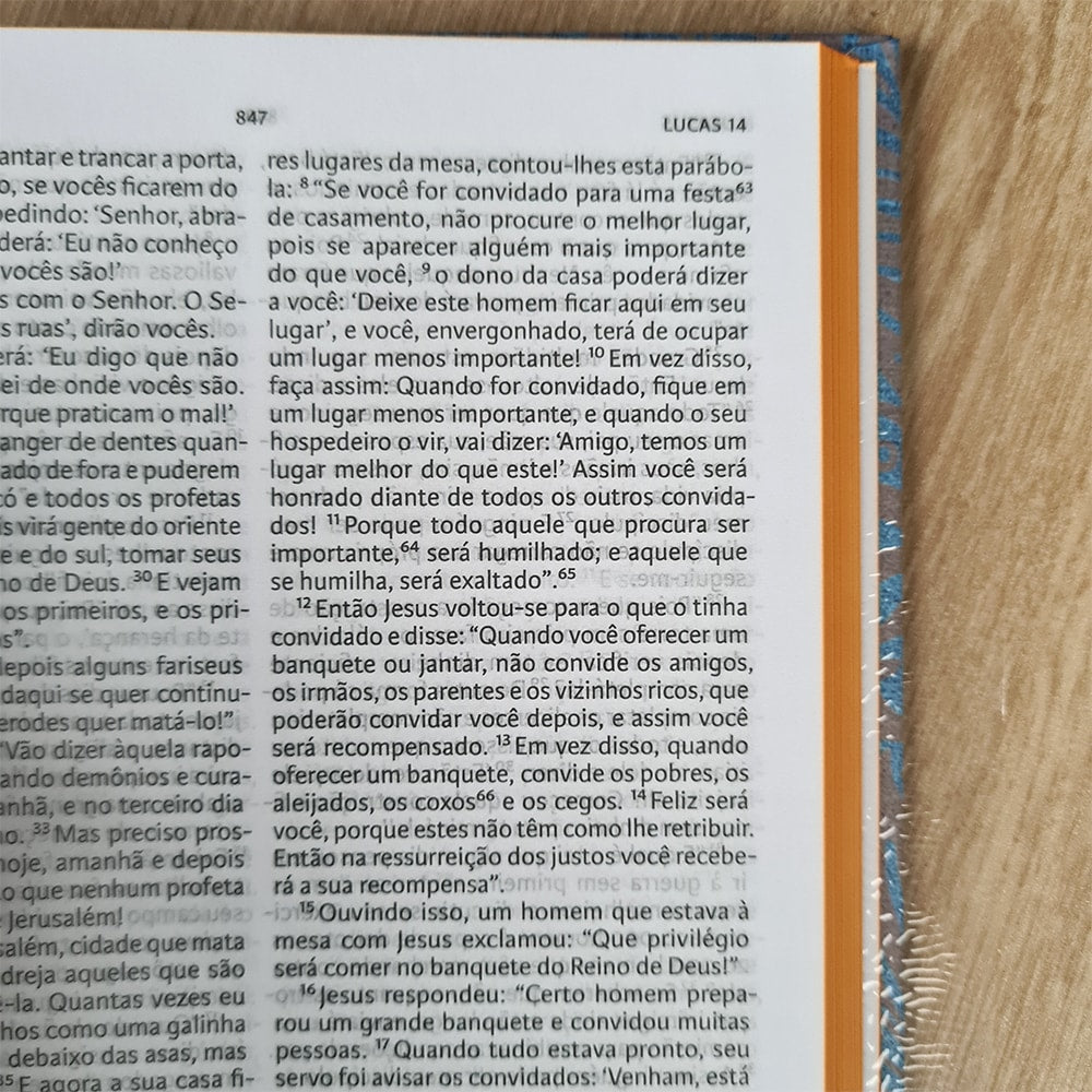 Nova Bíblia Viva | Cantares | Capa Dura