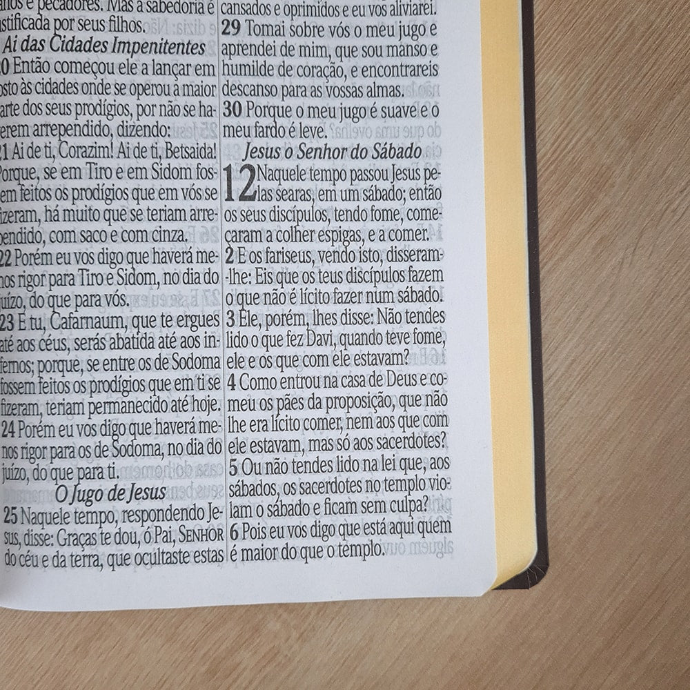 Bíblia Sagrada com Harpa Avivada e Corinhos | ARC | Letra Jumbo | Capa Semiflexível Preta