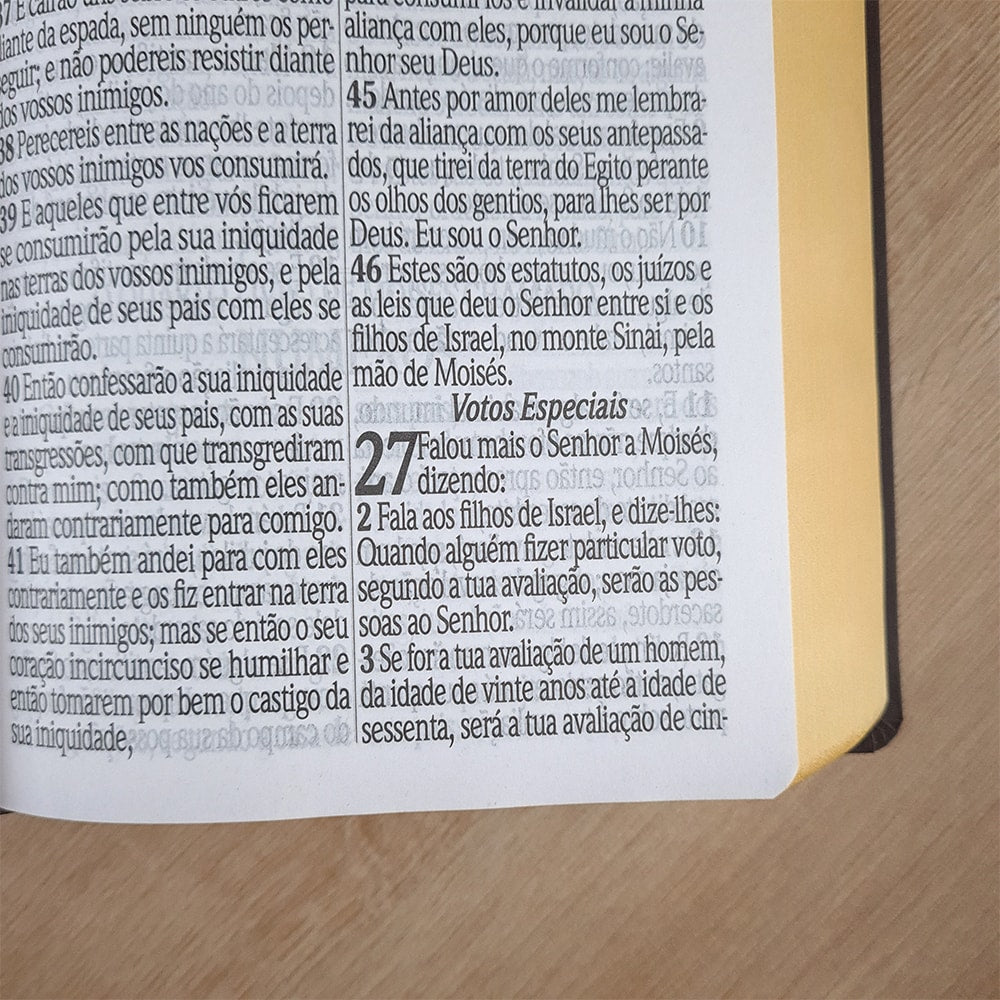 Bíblia Sagrada com Harpa Avivada e Corinhos | ARC  | Letra Jumbo | Capa Semiflexível Bordo