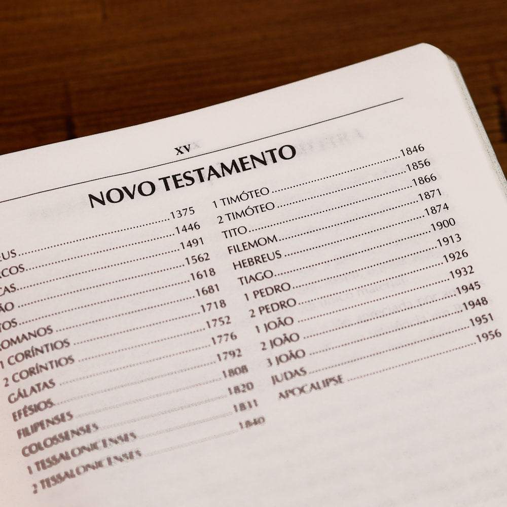 Bíblia Campo de Batalha da Mente | NVA | Letra Normal | Capa Luxo Rosa
