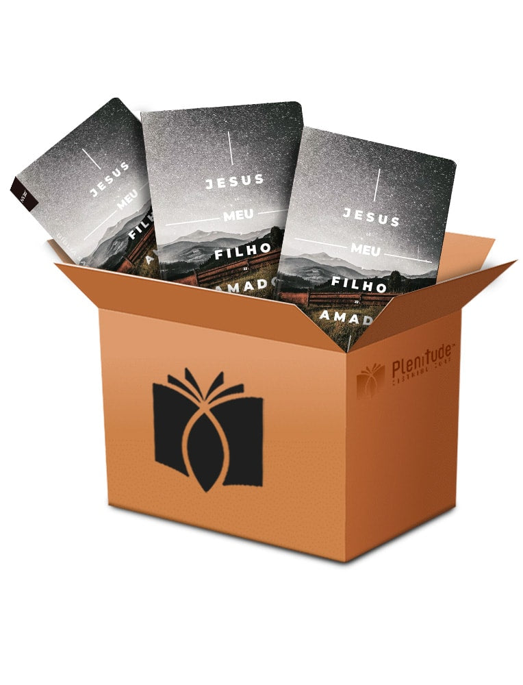 Kit de 10 Bíblias Sagradas Filho Amado NVI, capa flexível cinza com montanhas e lettering. — Plenitude