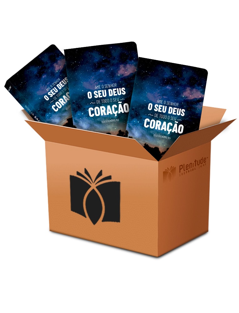 Kit de 10 Bíblias Sagradas Ama o Senhor o Seu Deus NVI, capa flexível com céu estrelado. — Plenitude