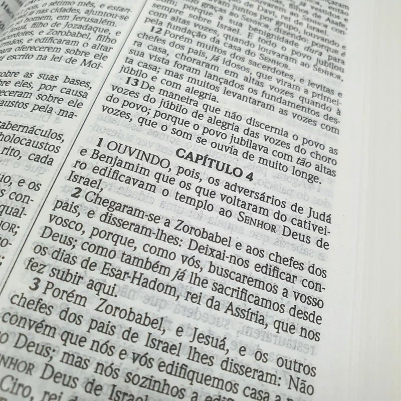 Kit de 10 Bíblias Leão Yeshua | ACF | Letra Maior | Capa Dura