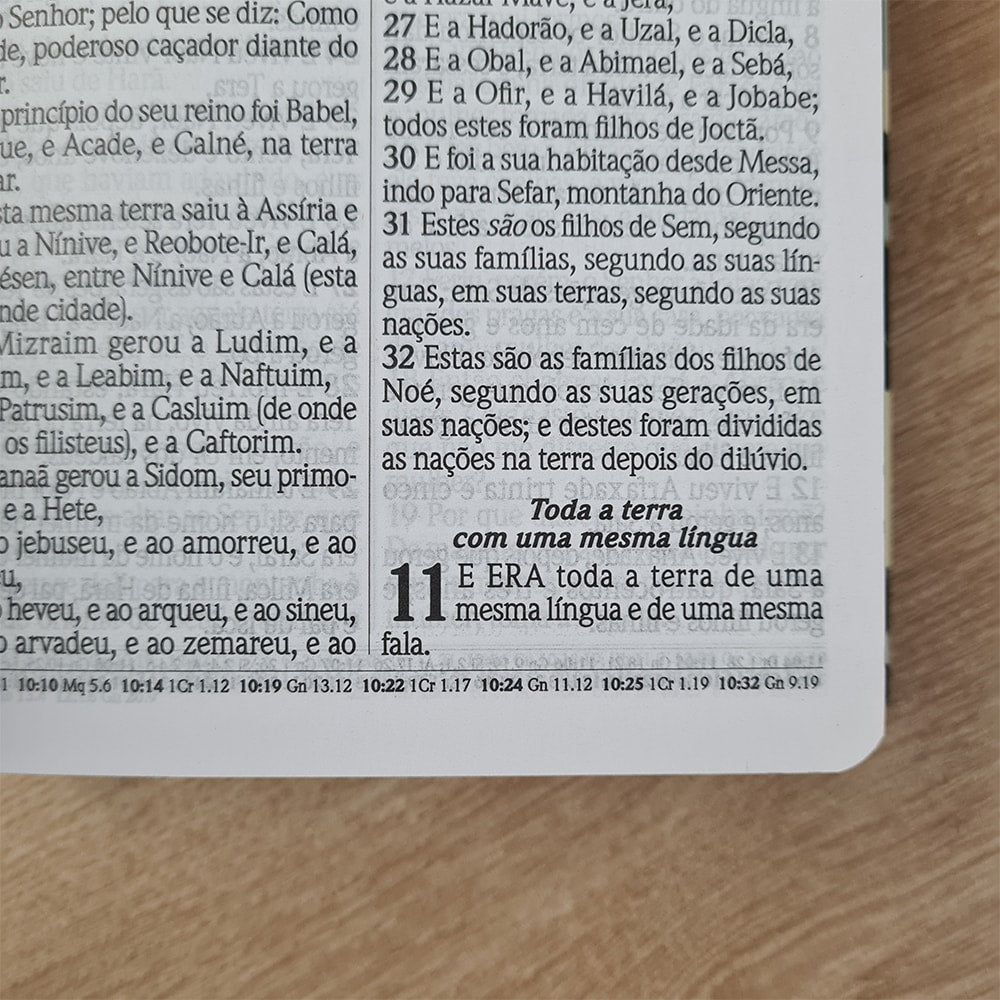 Bíblia do Culto com Harpa Cristã e Corinhos | ARC | Letras Maiores | Capa Semi-flexível Tropical Ver