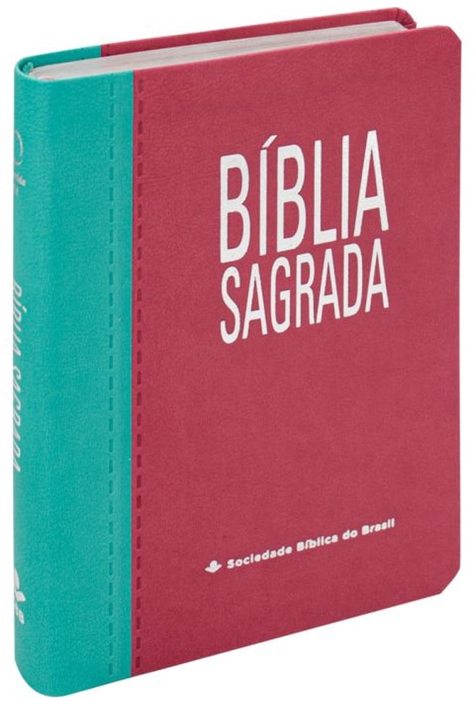 Bíblia Sagrada | ARA | Letra Gigante | Capa Turquesa e Pink C/ Índice