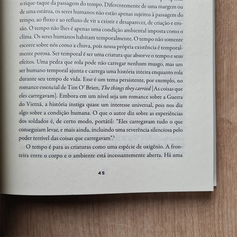 Como Habitar o Tempo | James K. Smith
