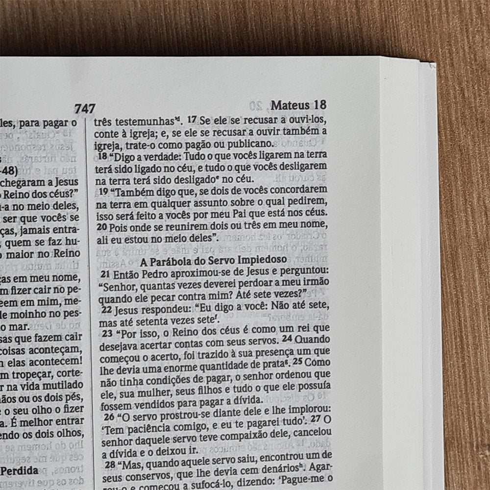 Bíblia Sagrada Média Salvos Pela Graça | NVI | Brochura Azul