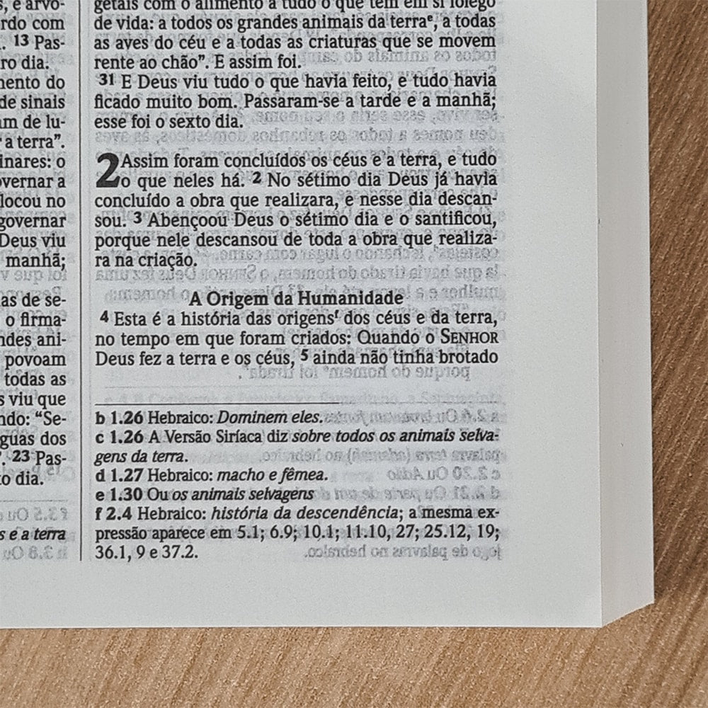 Bíblia Sagrada Média Nada Será Capaz | NVI | Brochura