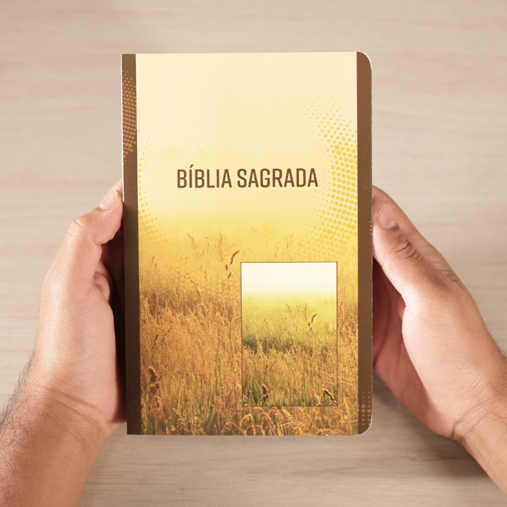 Bíblia Sagrada | NVI | Letra Grande | Capa Brochura Trigo
