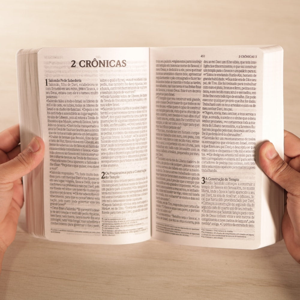 Bíblia Sagrada | NVI | Letra Grande | Capa Brochura Trigo