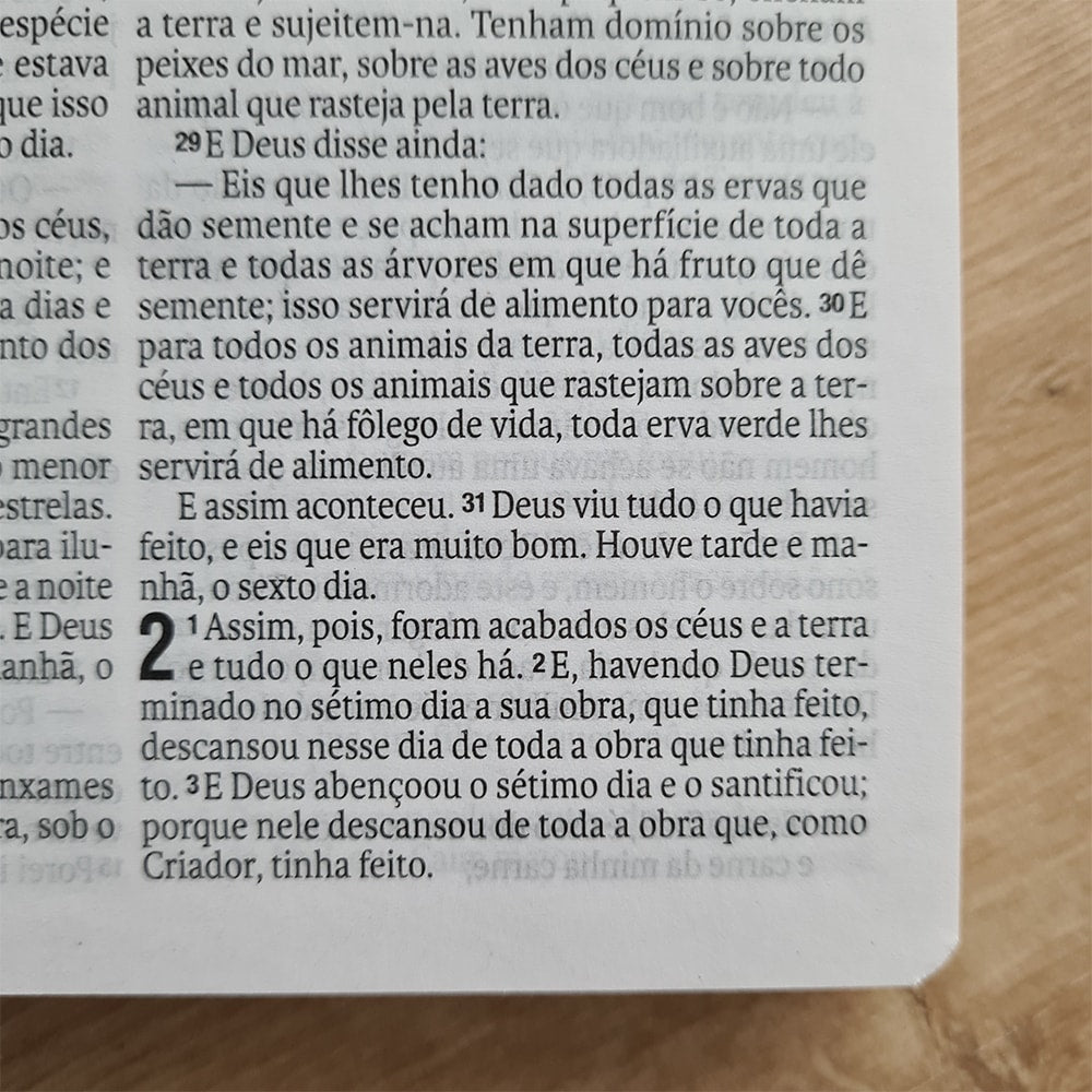 Bíblia Sagrada Leão Universo | NAA | Letra Normal | Capa Dura