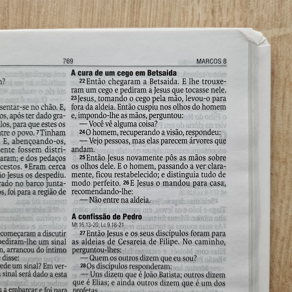 Bíblia Sagrada Flores | NAA | Letra Normal | Capa Dura