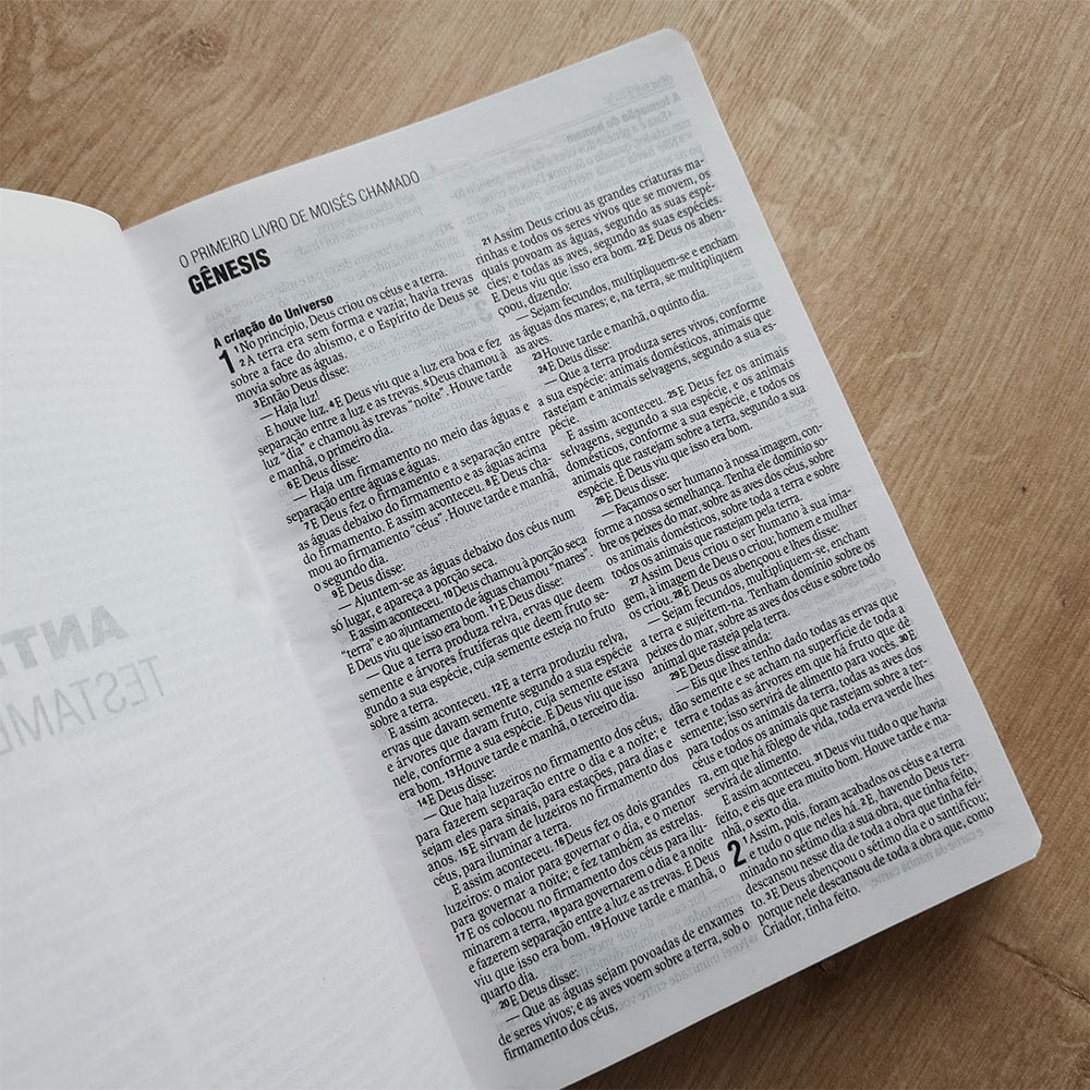 Bíblia Sagrada Linhas Douradas | NAA | Letra Normal | Capa Dura