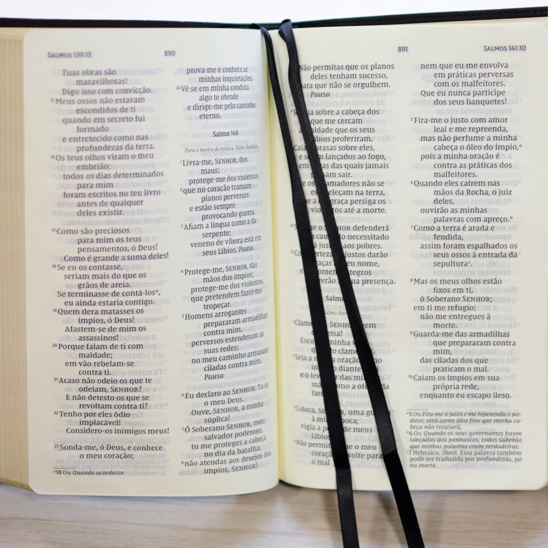 Bíblia Sagrada | NVI | Letra Grande | Couro Soft Preta