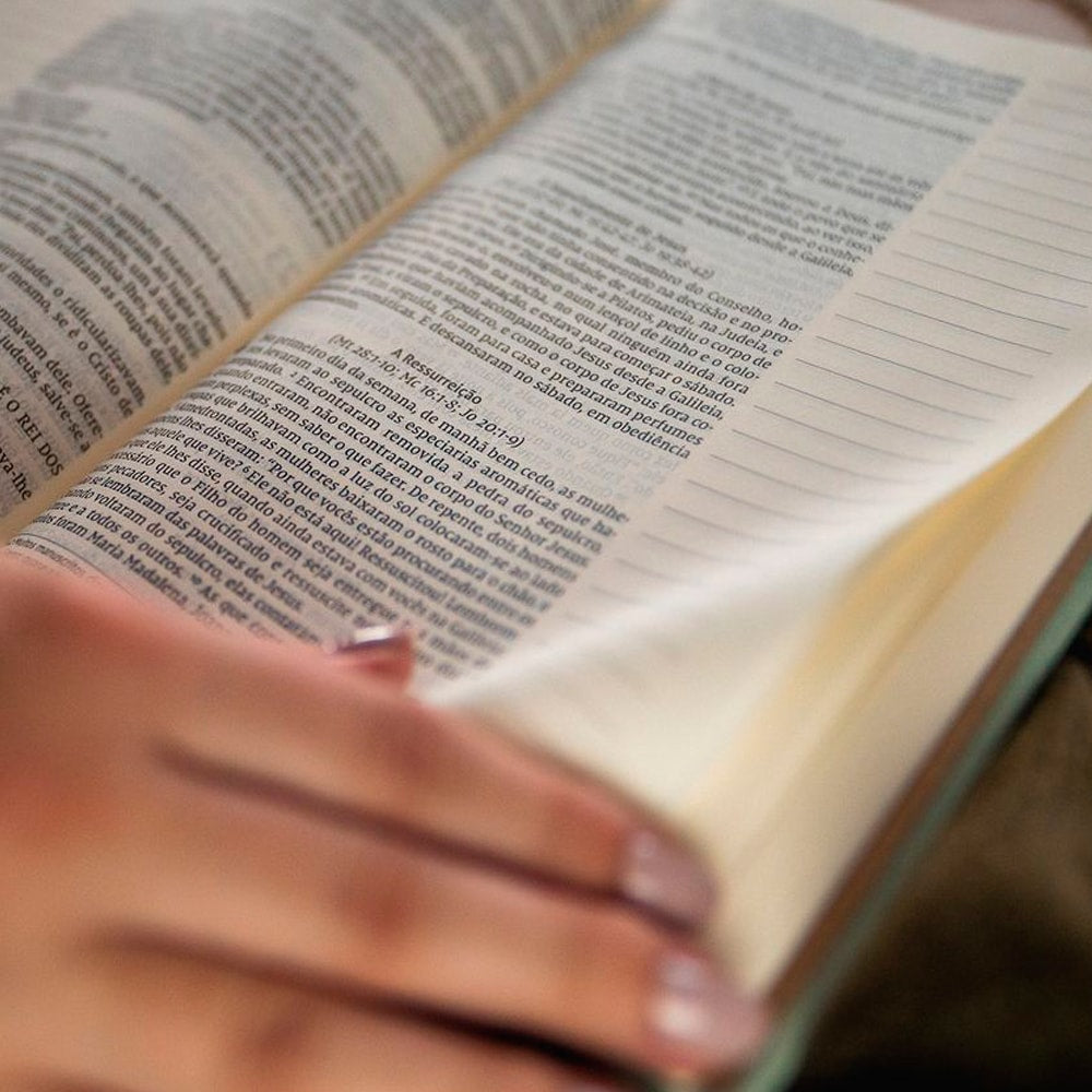 Bíblia Sagrada com Espaço para Anotações | NVI | Leitura Perfeita | Capa Dura Tecido Dente de Leão