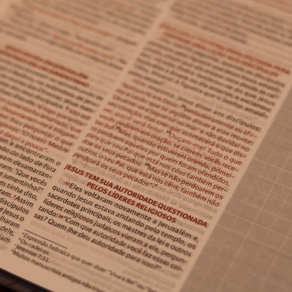 Nova Bíblia Viva Com Espaço para Anotação | Letra Normal | Capa Espiral Colheita Abundante