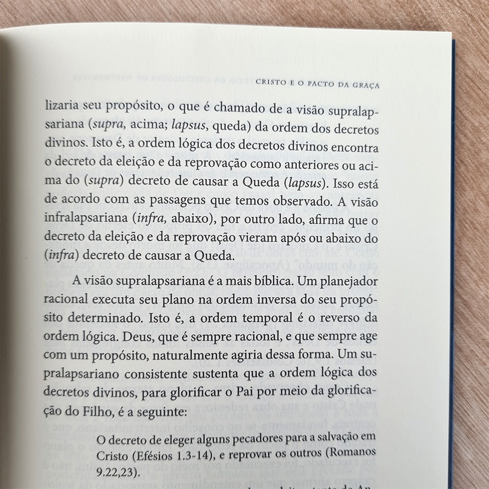 Cristo o Mediador | W. Gary Crampton