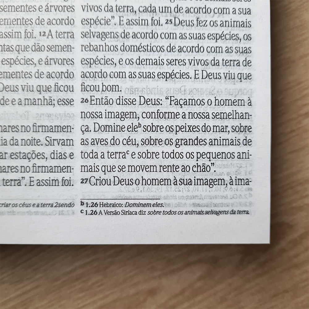 Bíblia Sagrada Preta Rosas | NVI | Letra Grande | Capa Dura