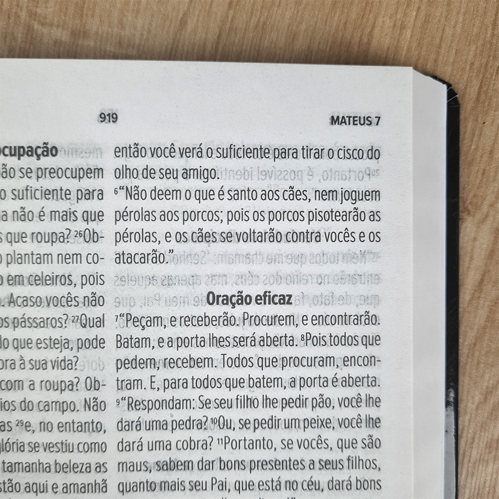 Bíblia Sagrada Leão Yahweh | NVT | Letra Grande | Capa Dura