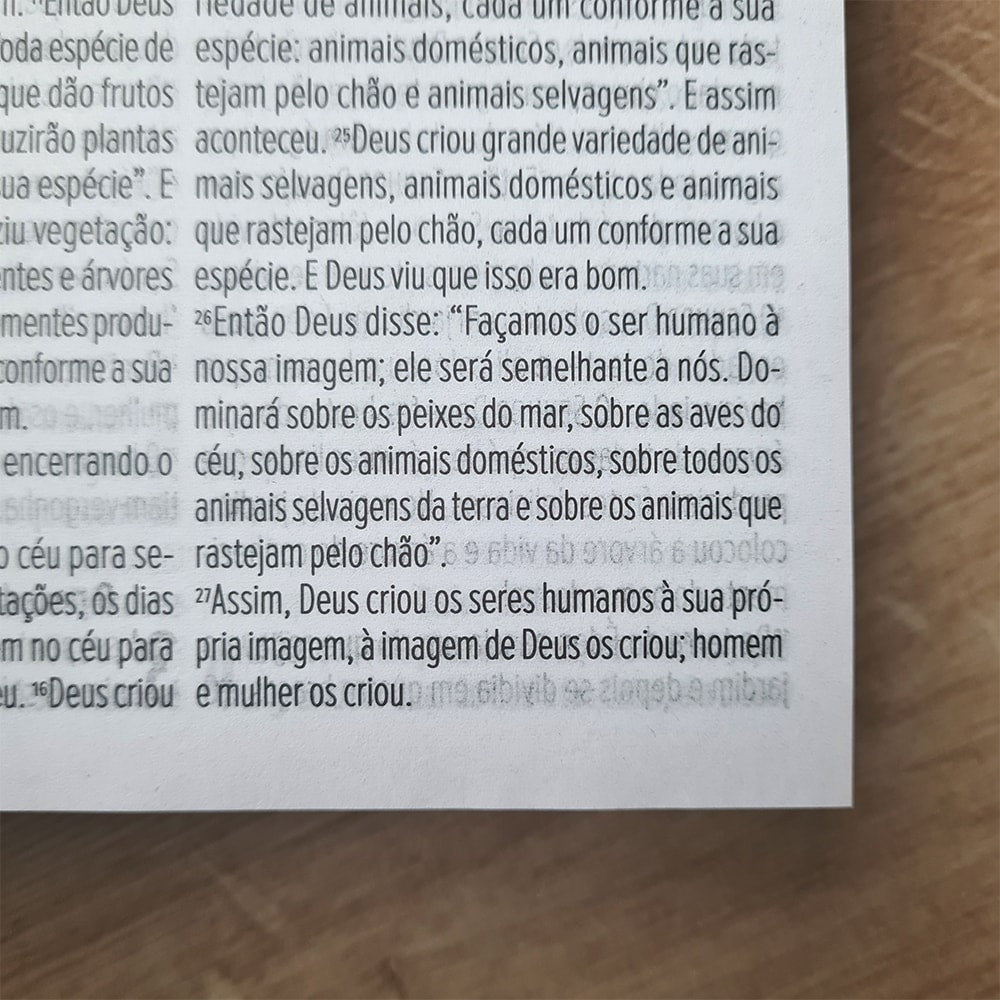 Bíblia Sagrada Luz Para o Meu Caminho | NVT | Letra Grande | Capa Dura